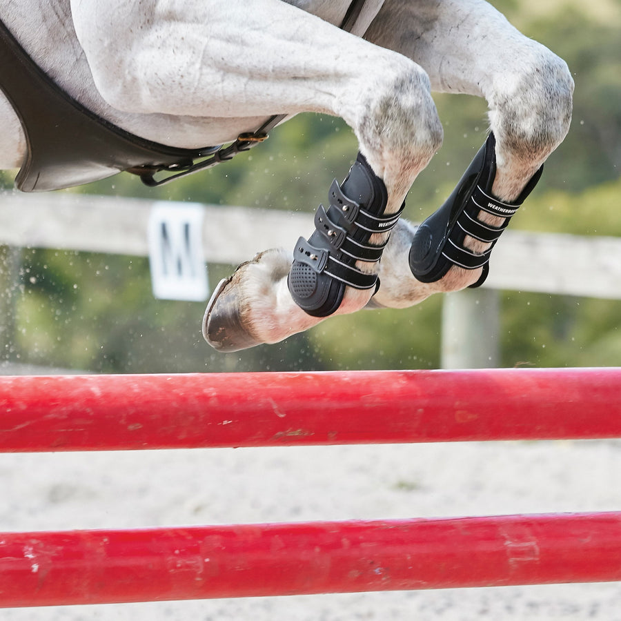 WeatberBeeta Pro Air Springgamache forben