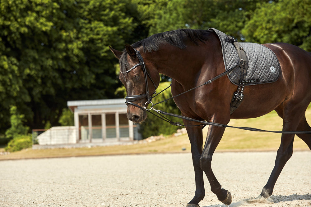 HorseGuard Triangle trepunktstøjle