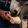 Borstiq Farm taljebørste mex/hestehår