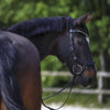 Herman Sprenger Dynamic RS tre-delt trensebid