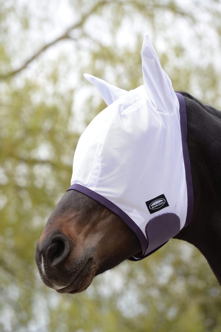 WeatherBeeta ComfiTec Essential Mesh fluemaske