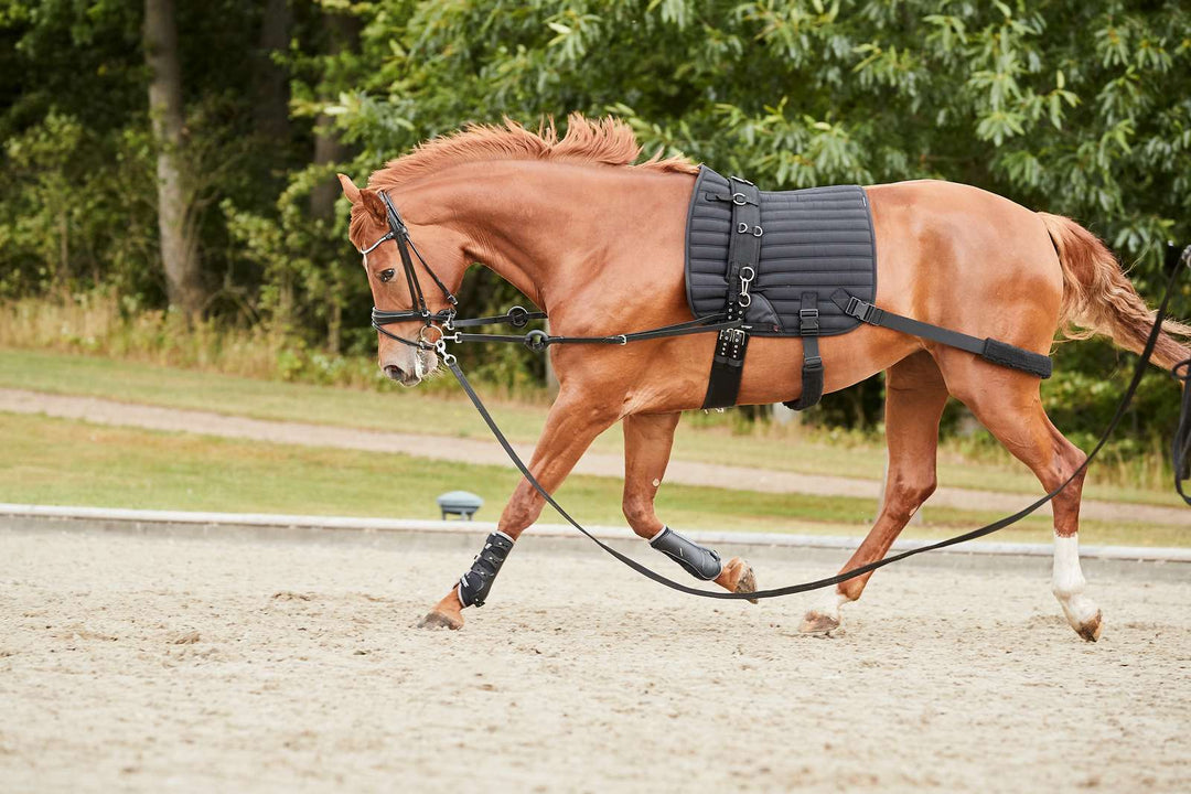 Catago Hybrid Træningsunderlag med elastik