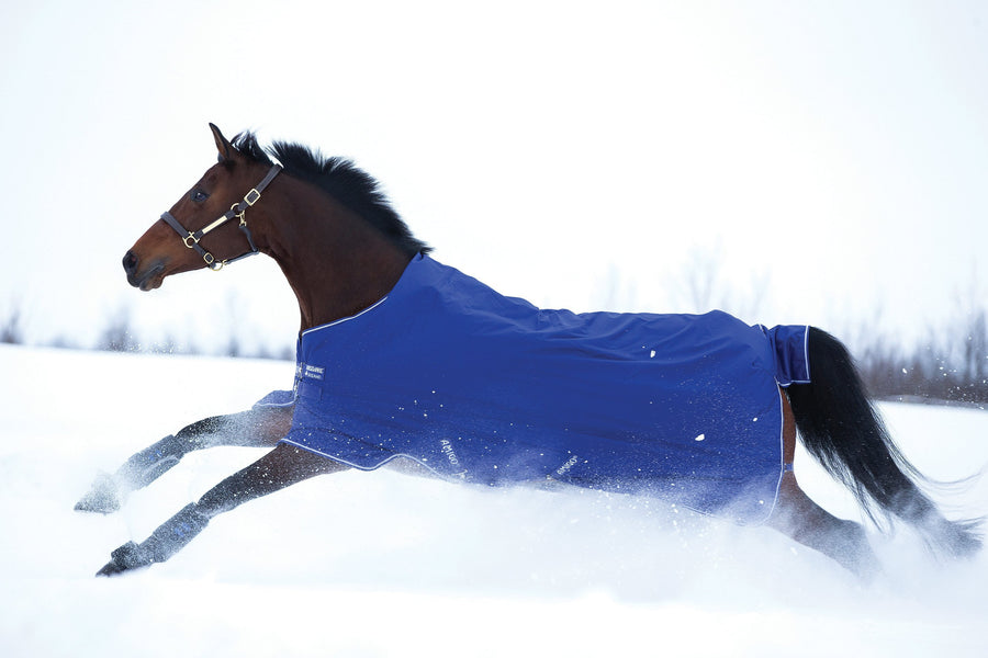 Horseware Amigo Hero ACY 200 g