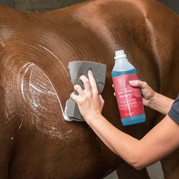 Blue Hors After Work shampoo