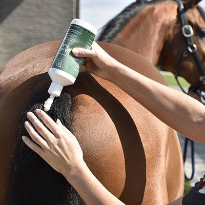 Blue Hors Anti-Itch liniment