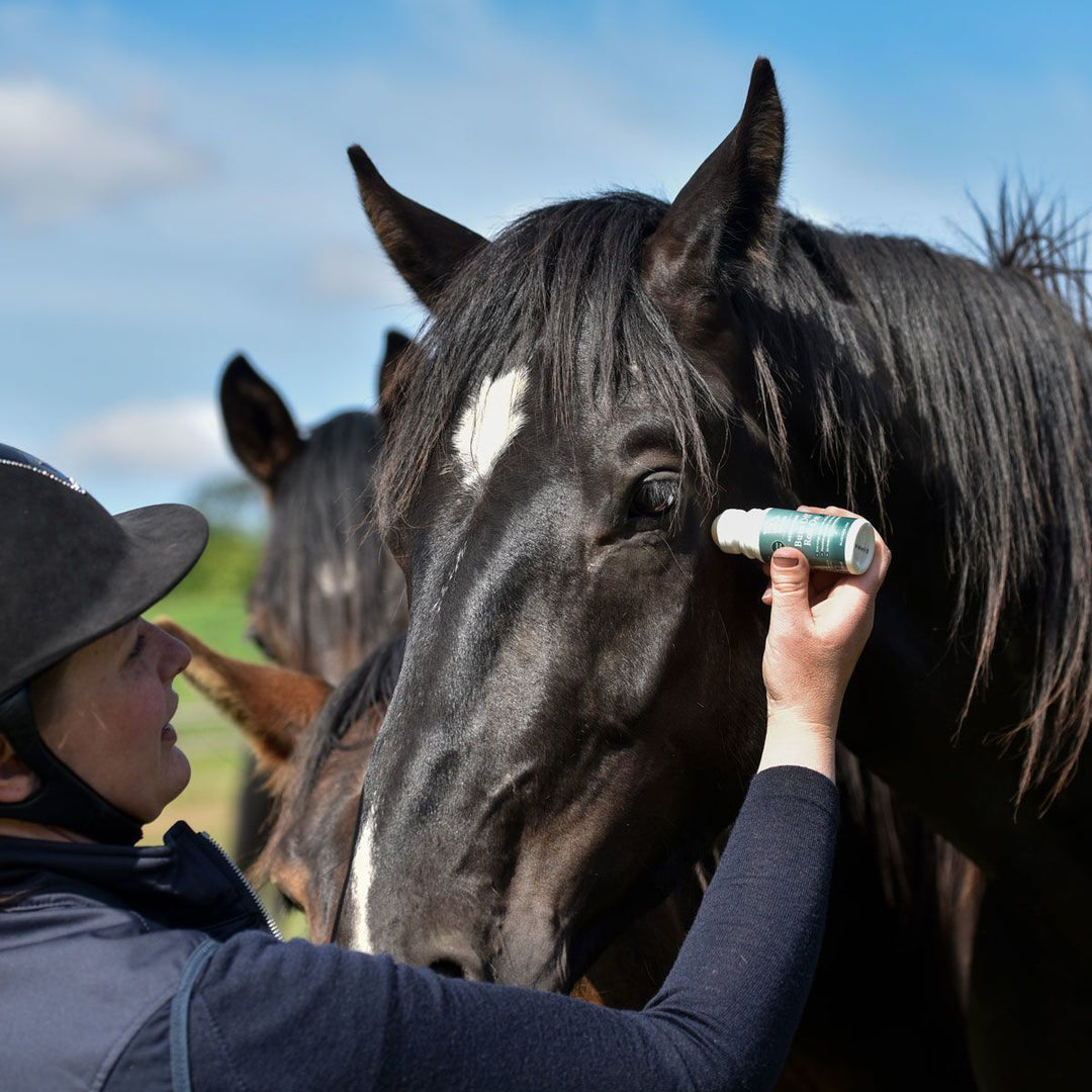 Blue Hors Buzz Off Roll On