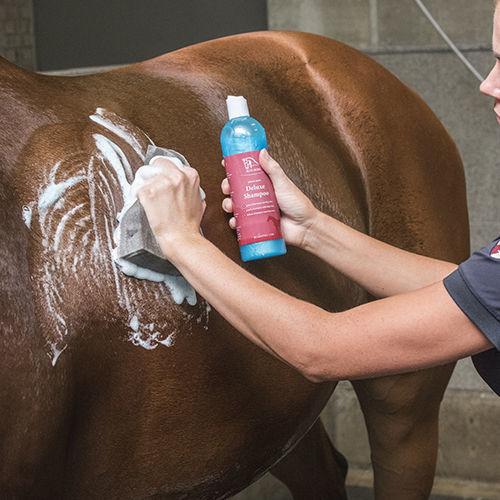 Blue Hors Deluxe shampoo 0,5 l