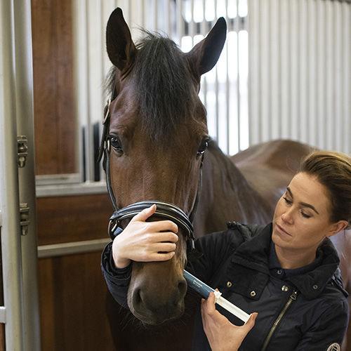 Blue Hors Electrolyte Re Cover
