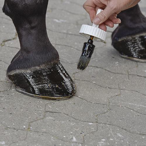 Blue Hors Hoof Oil