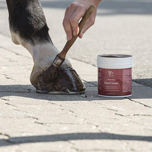 Blue Hors Ointment Special hovcreme
