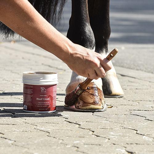 Blue Hors Ointment Special hovcreme