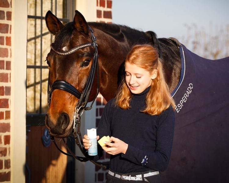 Blue Hors Effekt læderpleje