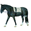 Cheval longeringssystem