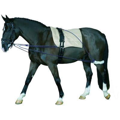 Cheval longeringssystem