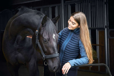 HorseGuard Anatomic grime