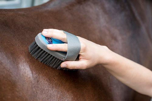 HorseGuard AG+ kardesk