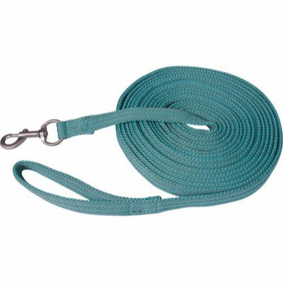 HorseGuard  longeline