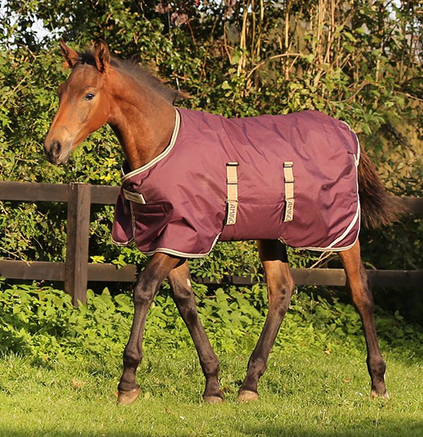 Horseware Amigo Føldækken Ripstop 200g
