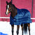 Horseware Liner 100g