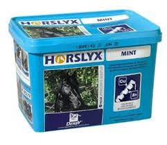 Horslyx Mint