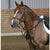 HorseGuard Hubertus Classic fortøj