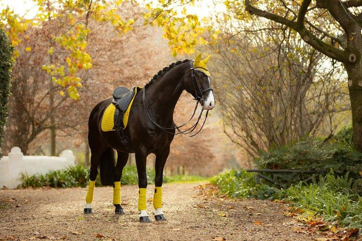 LeMieux Suede Pony dressurunderlag