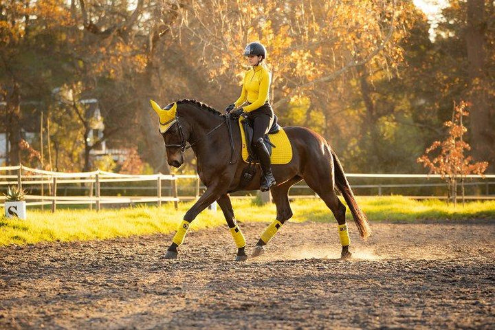 LeMieux Suede Pony dressurunderlag