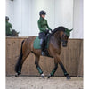 LeMieux Loire Classic dressurunderlag