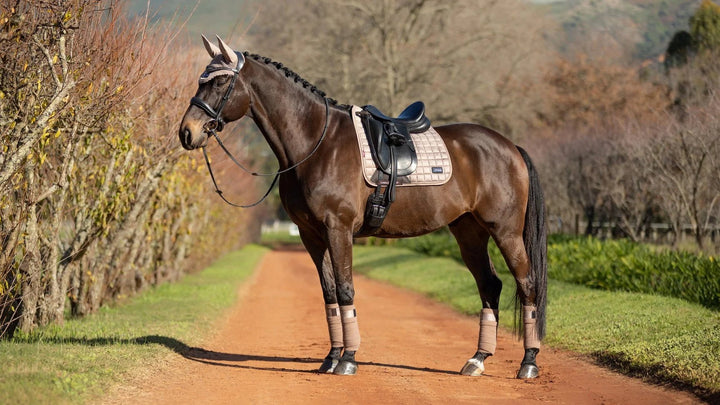 Lemieux Rhone Polo Bandager