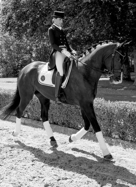Mountain Horse Estelle ridestøvle