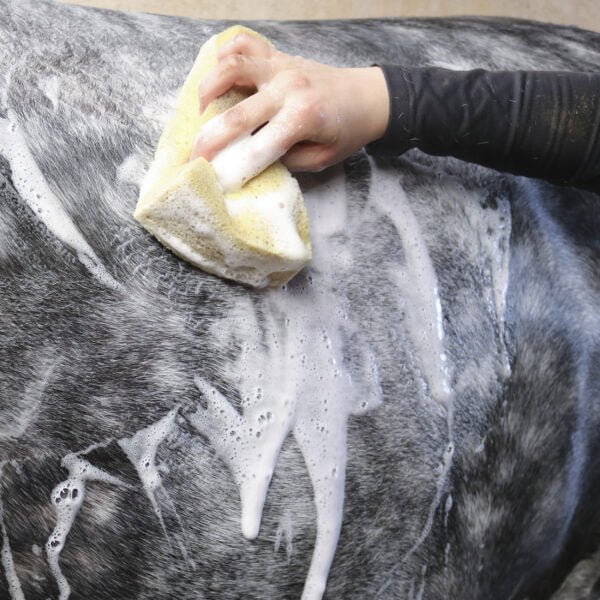 Nathalie Horsecare All Black shampoo