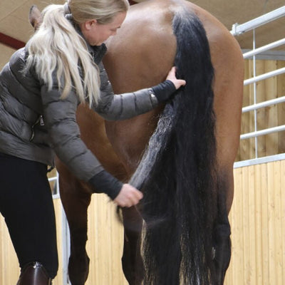 Nathalie Horsecare Easy Go Mane 'N' Tail gel