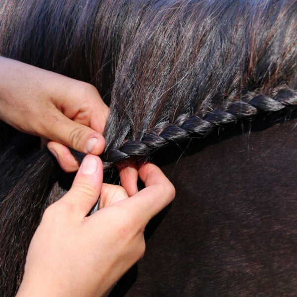 Nathalie Horsecare Strong Hold Plait