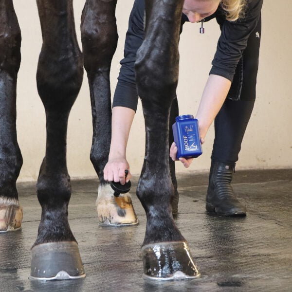 Nathalie Horsecare hovolie