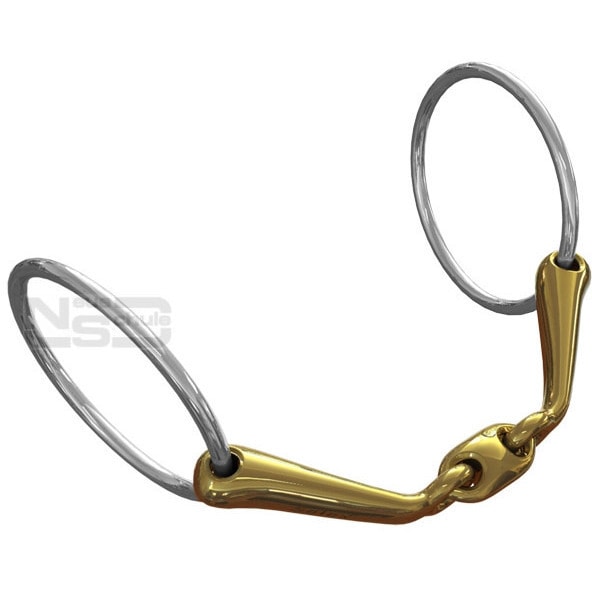 Neue Schule Starter bid