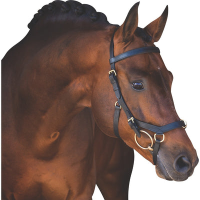 Rambo Micklem Multibridle trense