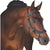 Rambo Micklem Multibridle trense