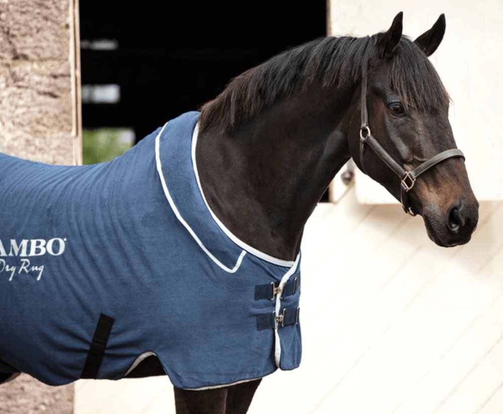 Horseware Rambo Dry Rug