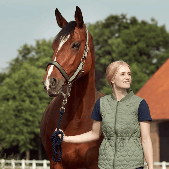 HorseGuard Fonda træktov