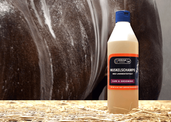 Eclipse Biofarmab liniment muskelshampoo