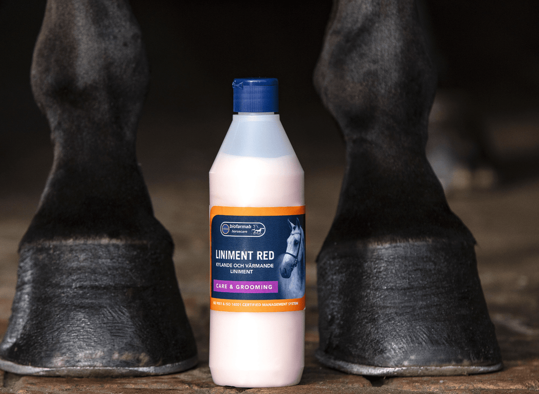 Eclipse Biofarmab Massage Liniment Red