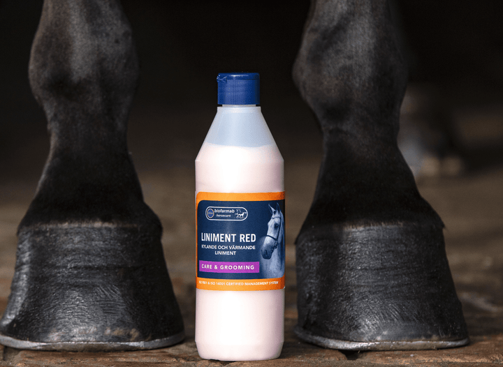 Eclipse Biofarmab Massage Liniment Red