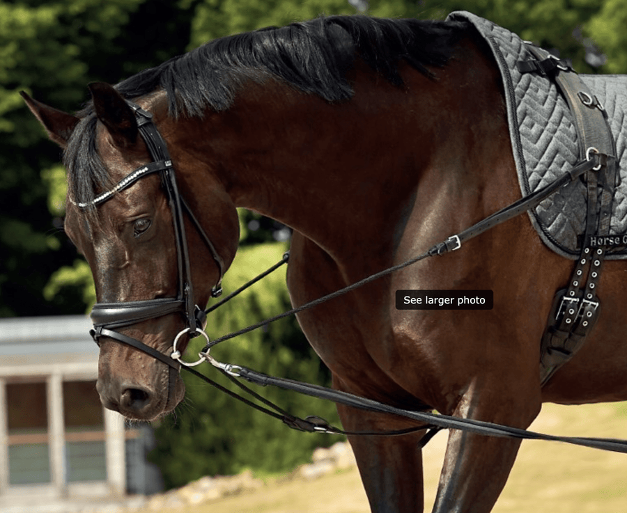 HorseGuard Triangle trepunktstøjle