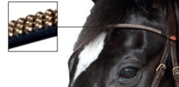 HorseGuard Cheval kåringstrense