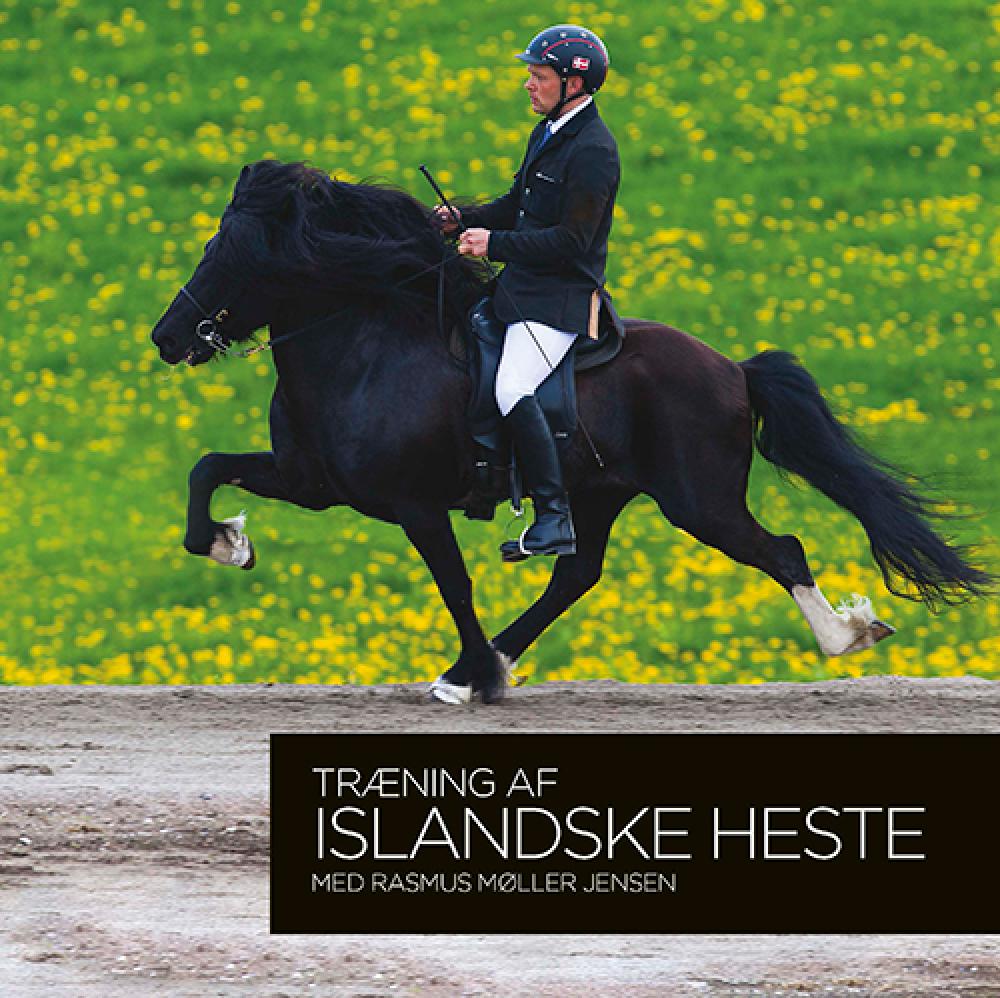 Træning af islandske heste