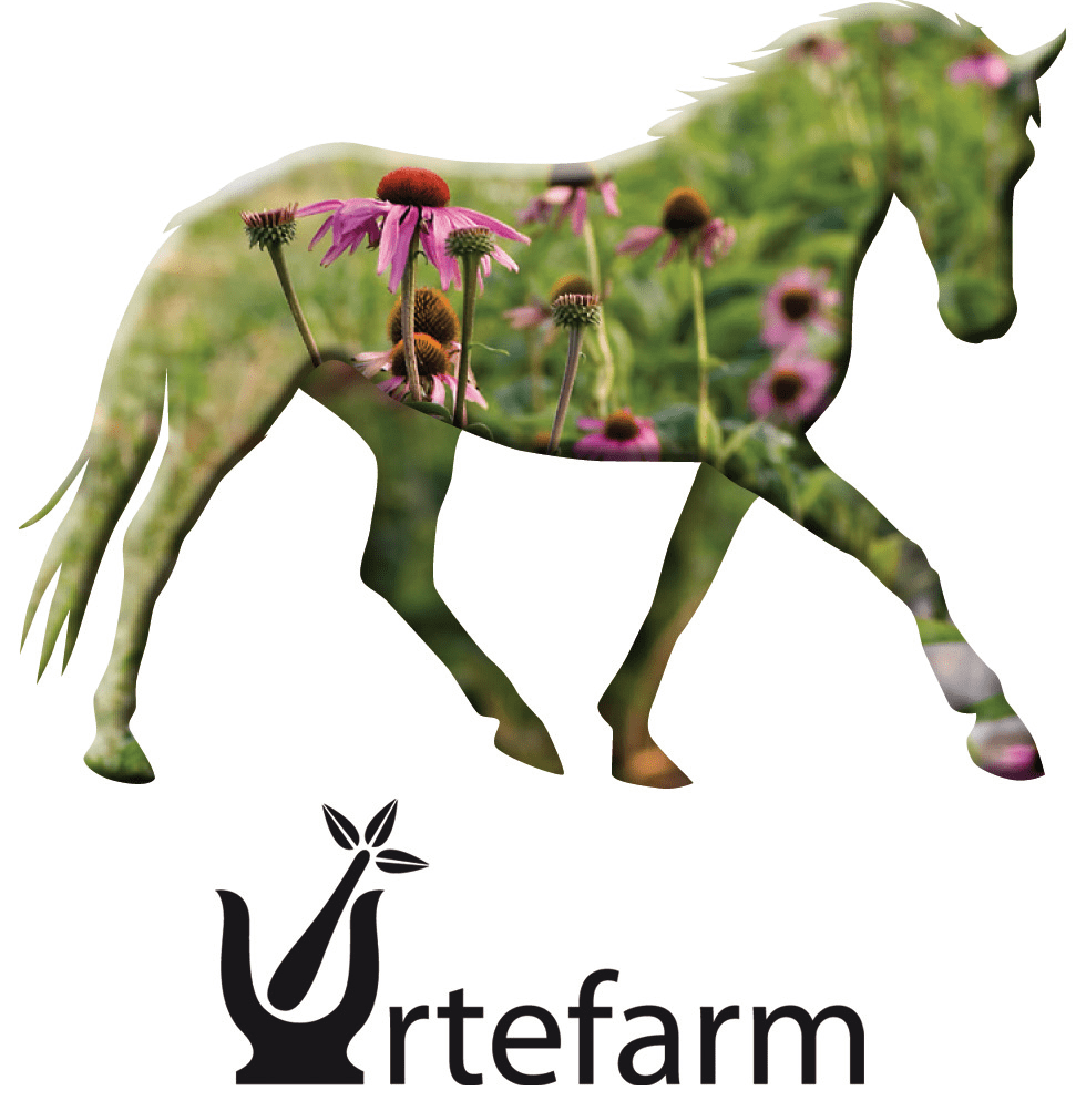 Urtefarm Psyllium Husk Loppefrøskaller med urter