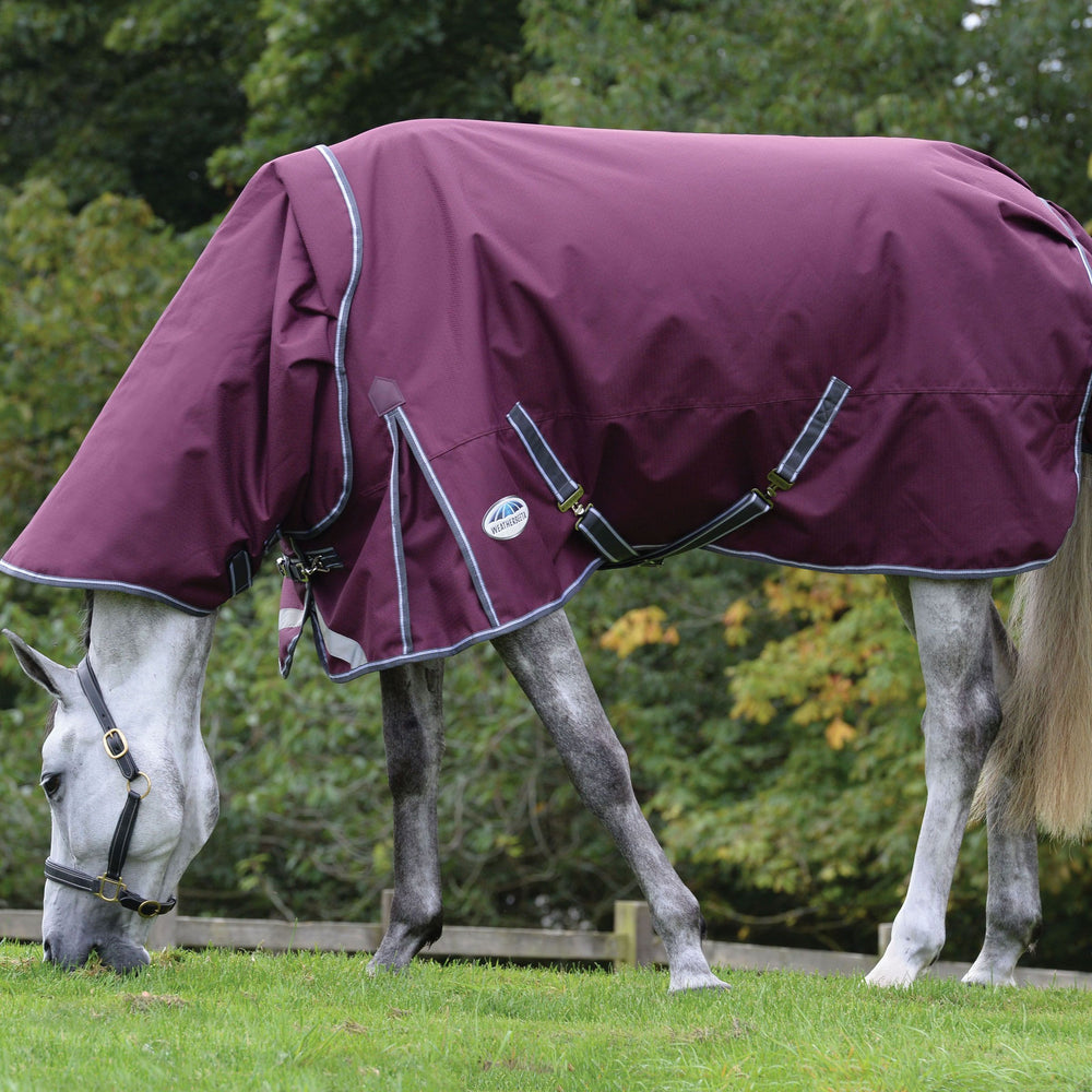 WeatherBeeta Comfitec Plus Dynamic II med hals 220g