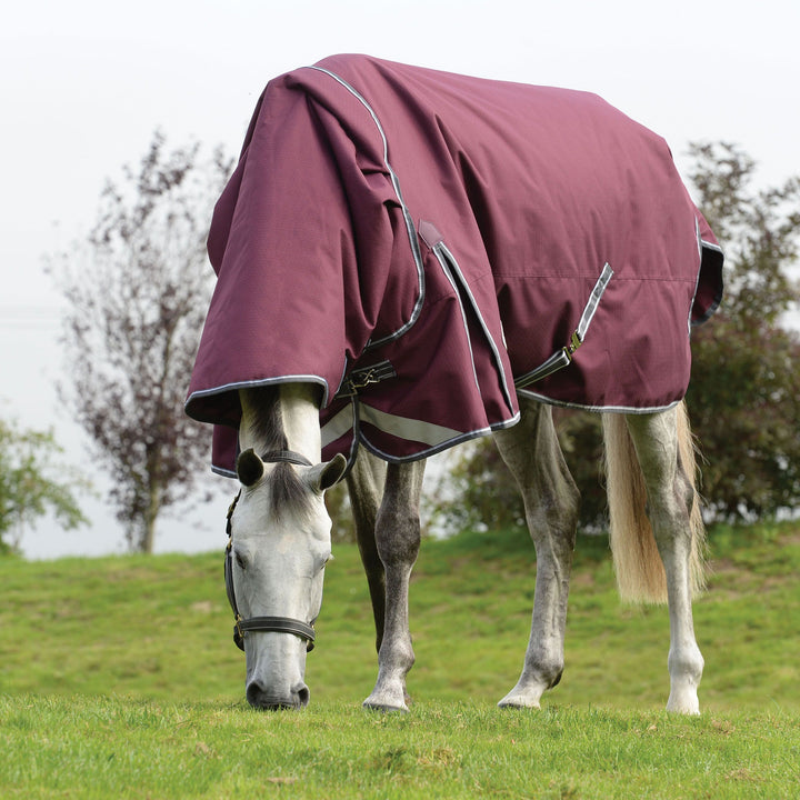 WeatherBeeta Comfitec Plus Dynamic II med hals 220g