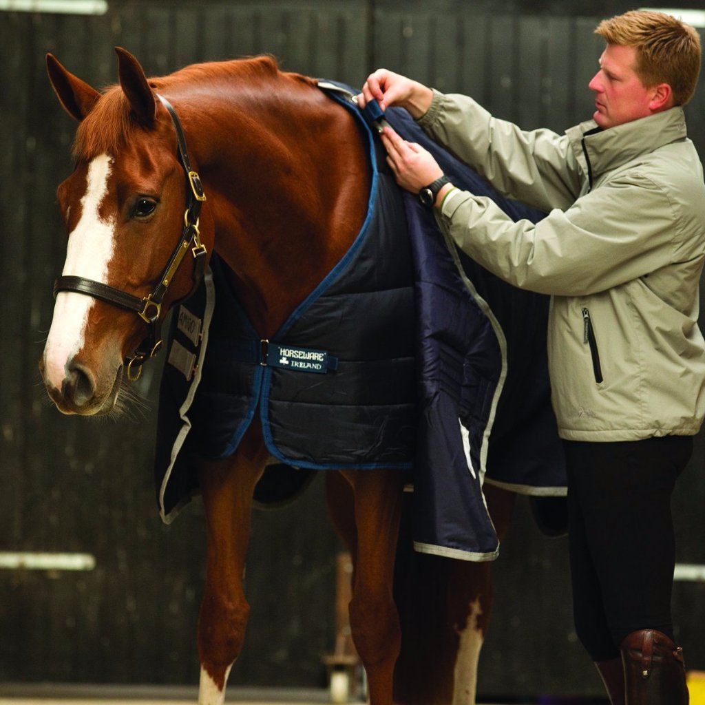 Horseware Liner 200g