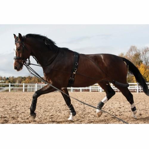 HorseGuard Cheval longeringssystem
